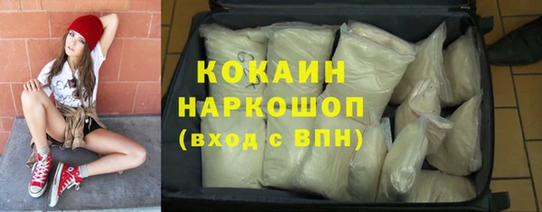 PSILOCYBIN Вязники