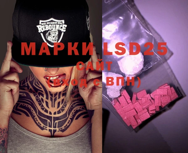 PSILOCYBIN Вязники
