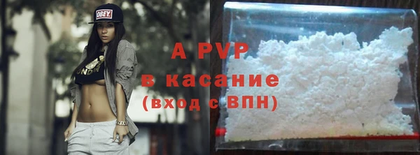 PSILOCYBIN Вязники
