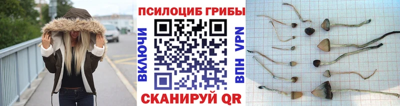 Купить закладки  Мариинский Посад  Галлюциногенные грибы мухоморы 