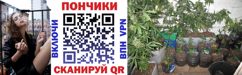 Канабис OG Kush  Купить где  Мариинский Посад 